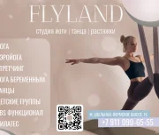 студия йоги, танца и растяжки flyland изображение 2 на проекте lovefit.ru