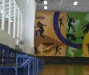 спортивно-зрелищный комплекс изображение 4 на проекте lovefit.ru