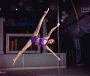 студия танца на пилоне colibri pole dance изображение 1 на проекте lovefit.ru