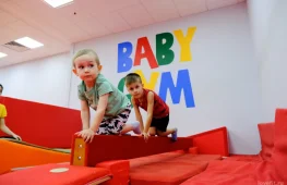спортивный клуб baby gym на московском проспекте изображение 2 на проекте lovefit.ru
